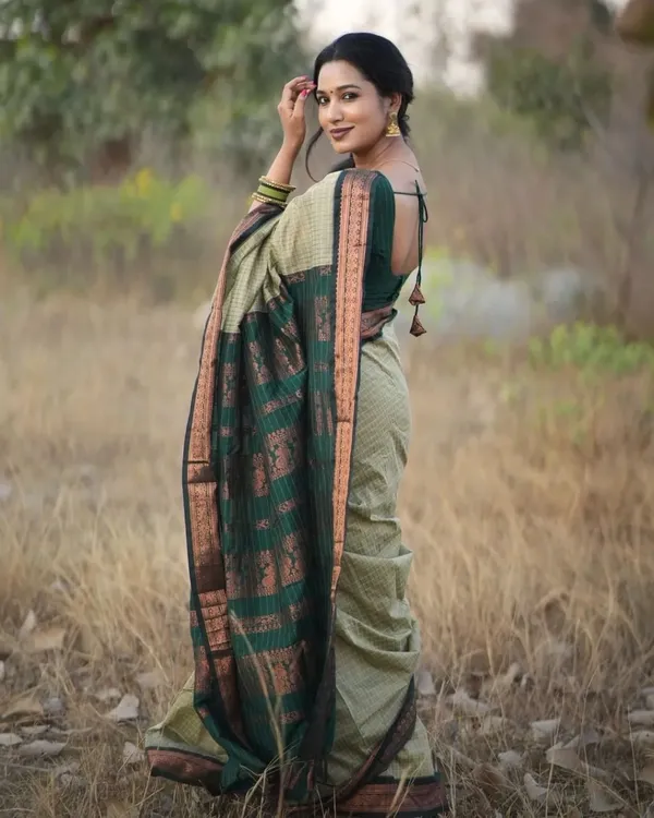 Woven_Kanjivaram_Jacquard_Banarasi_Silk_Saree