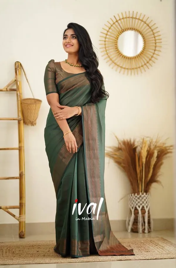 Woven_Kanjivaram_Jacquard_Banarasi_Silk_Saree