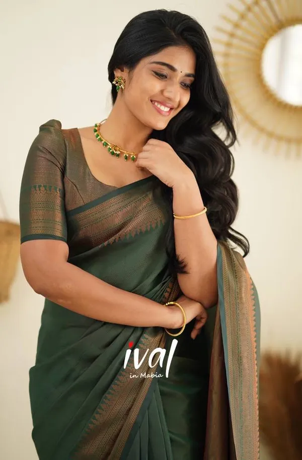 Woven_Kanjivaram_Jacquard_Banarasi_Silk_Saree