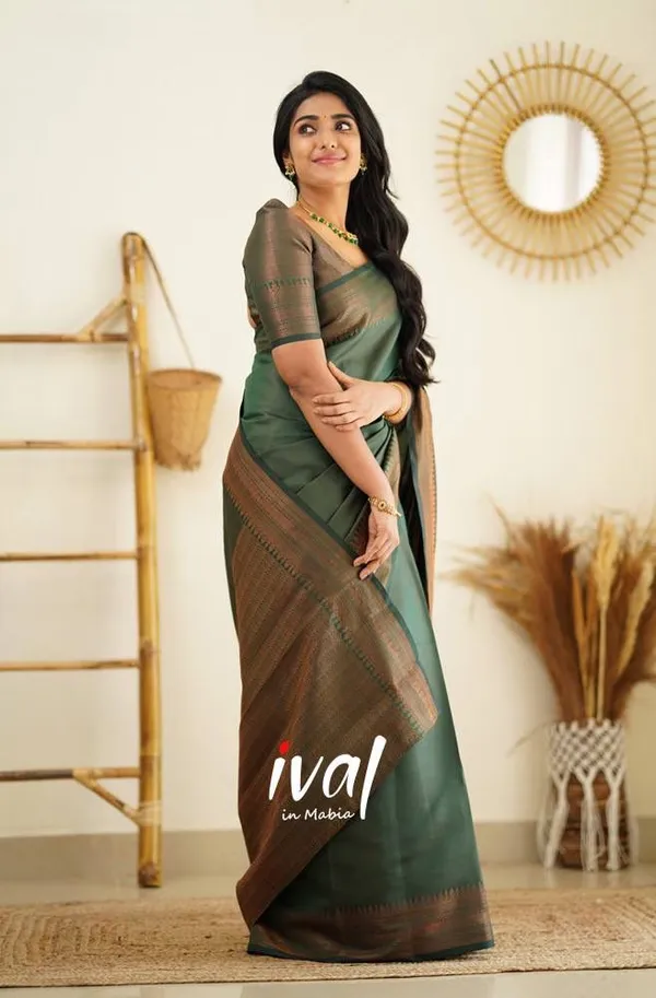Woven_Kanjivaram_Jacquard_Banarasi_Silk_Saree