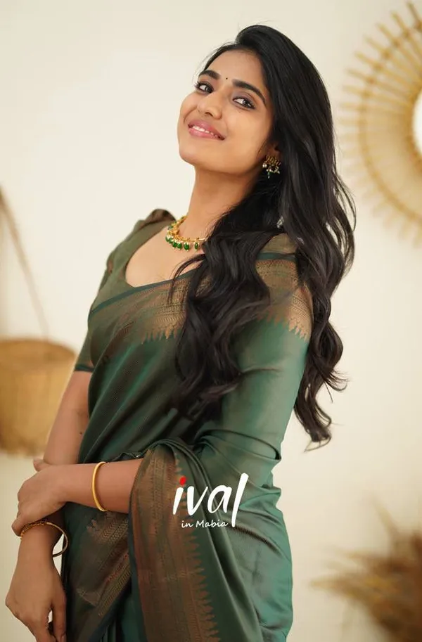 Woven_Kanjivaram_Jacquard_Banarasi_Silk_Saree