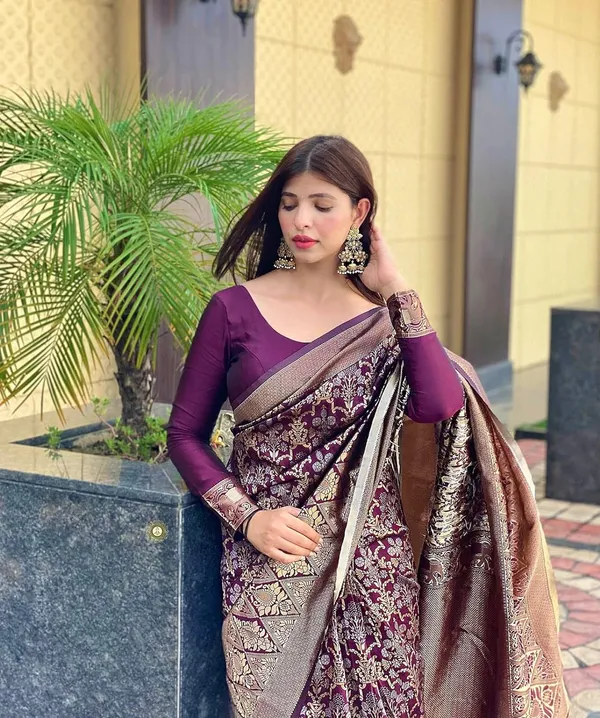 Woven_Kanjivaram_Jacquard_Banarasi_Silk_Saree