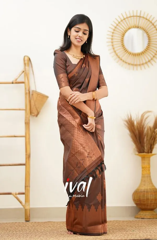 Woven_Kanjivaram_Jacquard_Banarasi_Silk_Saree