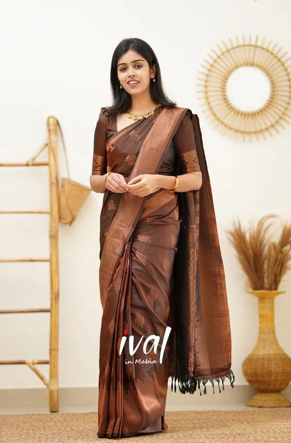 Woven_Kanjivaram_Jacquard_Banarasi_Silk_Saree