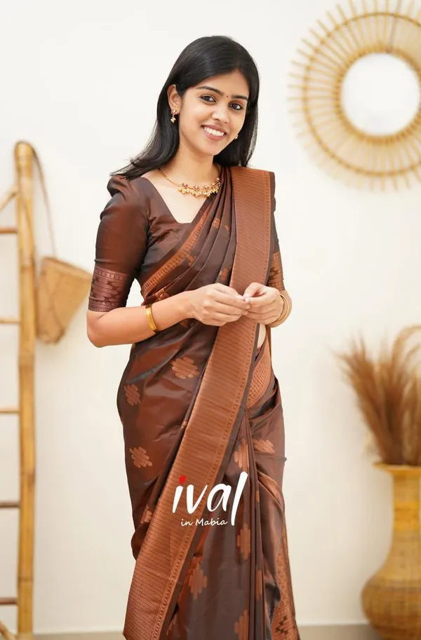 Woven_Kanjivaram_Jacquard_Banarasi_Silk_Saree