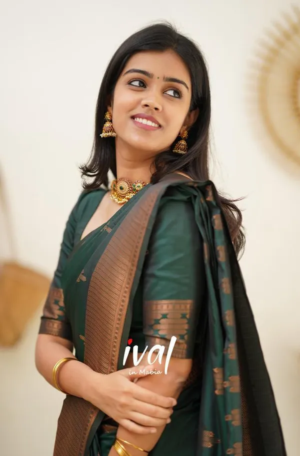 Woven_Kanjivaram_Jacquard_Banarasi_Silk_Saree