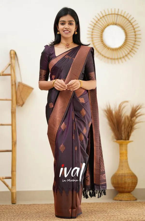 Woven_Kanjivaram_Jacquard_Banarasi_Silk_Saree