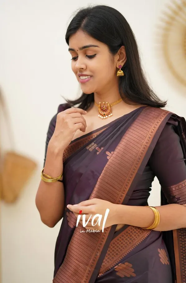 Woven_Kanjivaram_Jacquard_Banarasi_Silk_Saree