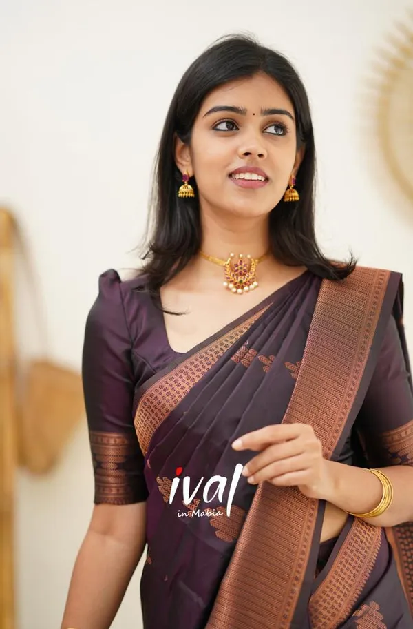 Woven_Kanjivaram_Jacquard_Banarasi_Silk_Saree