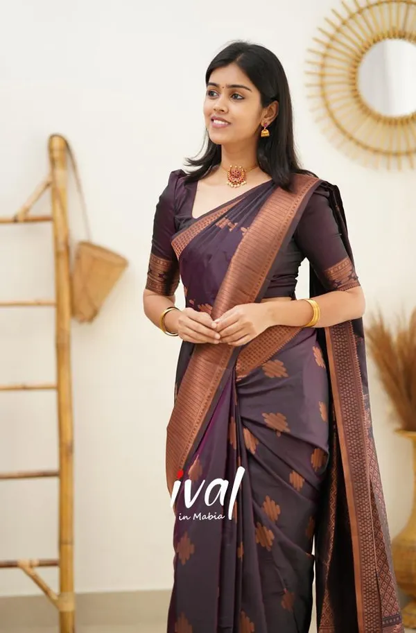 Woven_Kanjivaram_Jacquard_Banarasi_Silk_Saree