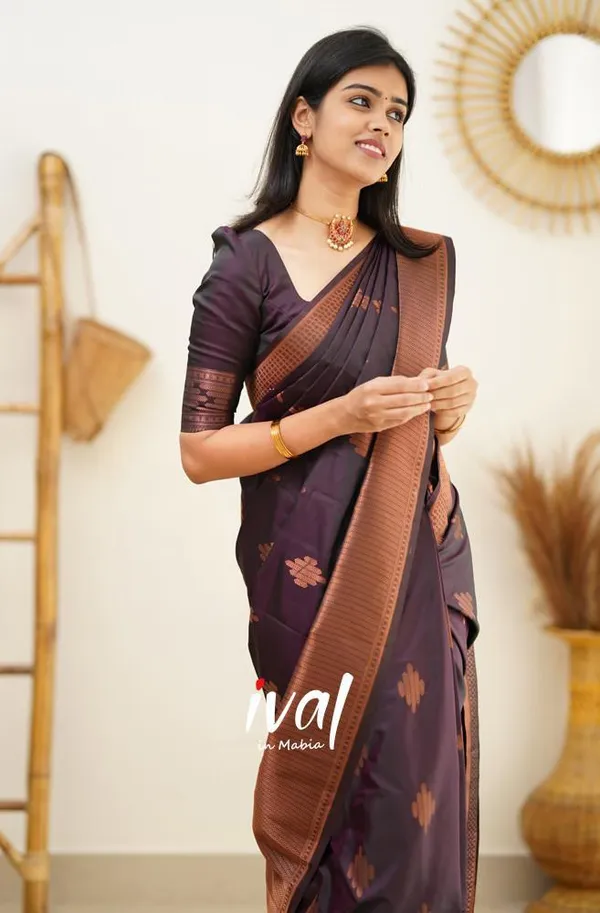 Woven_Kanjivaram_Jacquard_Banarasi_Silk_Saree
