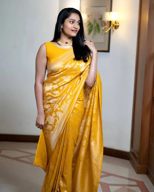 Woven_Kanjivaram_Jacquard_Banarasi_Silk_Saree