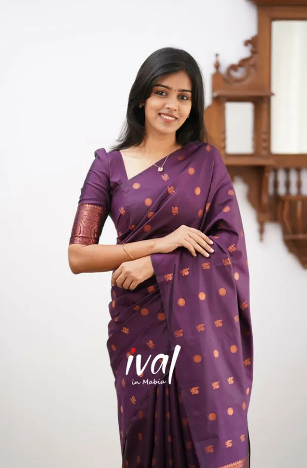 Woven_Kanjivaram_Jacquard_Banarasi_Silk_Saree