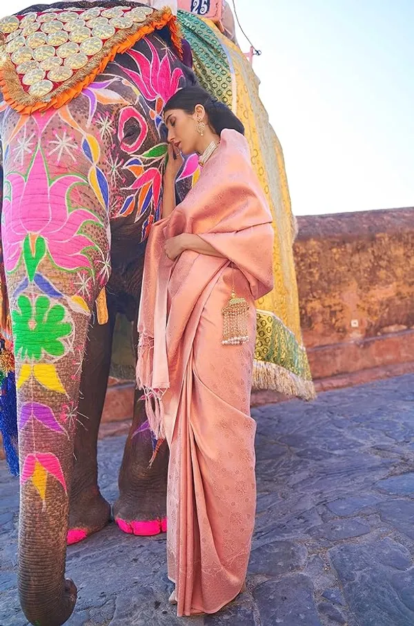 Woven_Kanjivaram_Jacquard_Banarasi_Silk_Saree