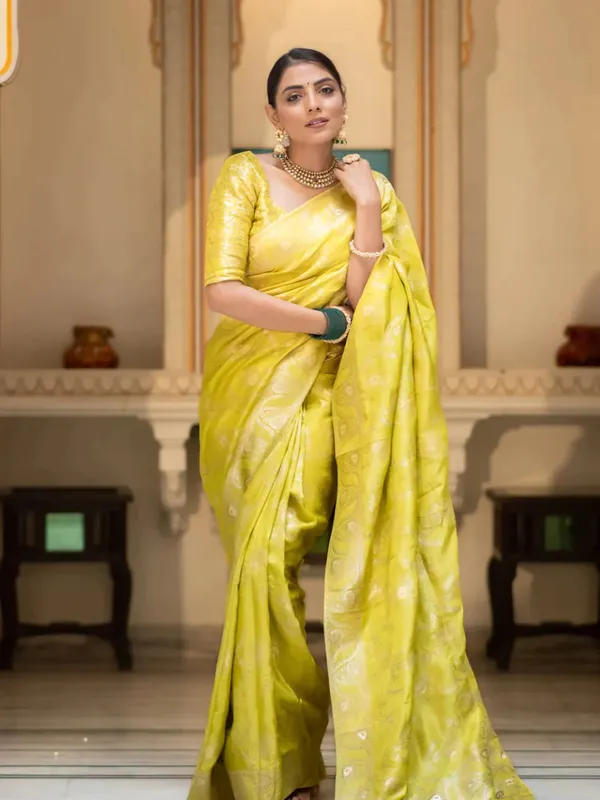 Woven_Kanjivaram_Jacquard_Banarasi_Silk_Saree