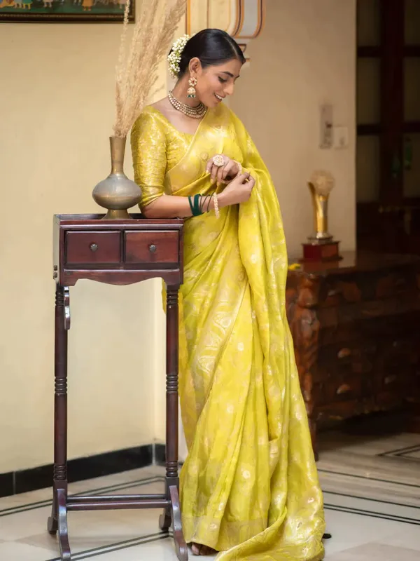 Woven_Kanjivaram_Jacquard_Banarasi_Silk_Saree