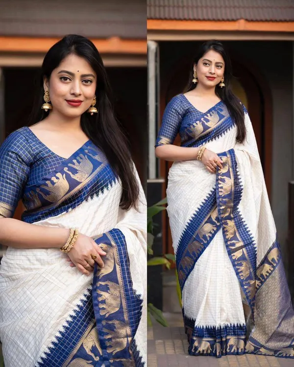 Woven_Kanjivaram_Jacquard_Banarasi_Silk_Saree
