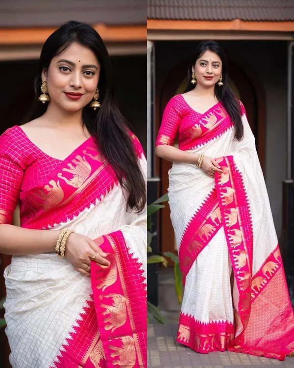 Woven_Kanjivaram_Jacquard_Banarasi_Silk_Saree