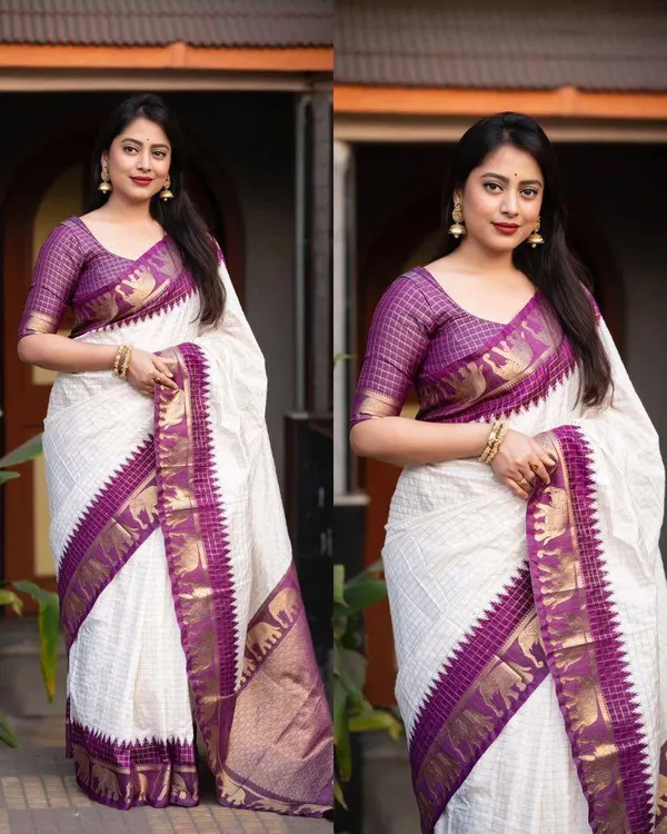 Woven_Kanjivaram_Jacquard_Banarasi_Silk_Saree