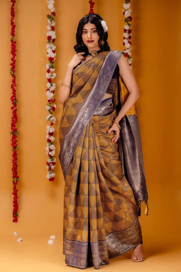 Woven_Kanjivaram_Jacquard_Banarasi_Silk_Saree