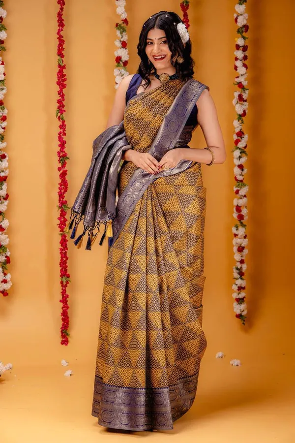 Woven_Kanjivaram_Jacquard_Banarasi_Silk_Saree