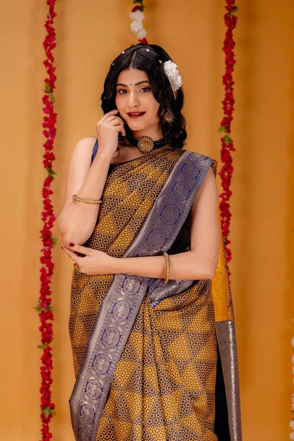 Woven_Kanjivaram_Jacquard_Banarasi_Silk_Saree