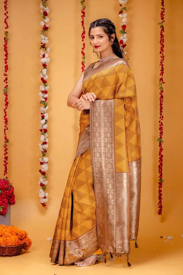 Woven_Kanjivaram_Jacquard_Banarasi_Silk_Saree