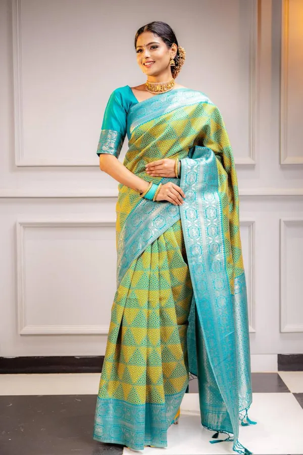 Woven_Kanjivaram_Jacquard_Banarasi_Silk_Saree