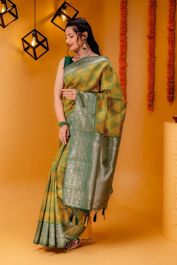 Woven_Kanjivaram_Jacquard_Banarasi_Silk_Saree