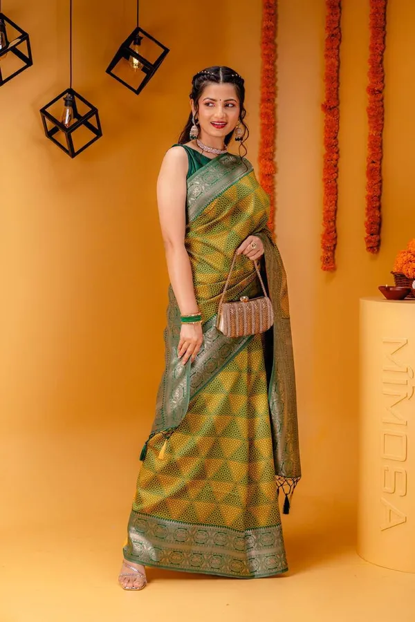 Woven_Kanjivaram_Jacquard_Banarasi_Silk_Saree