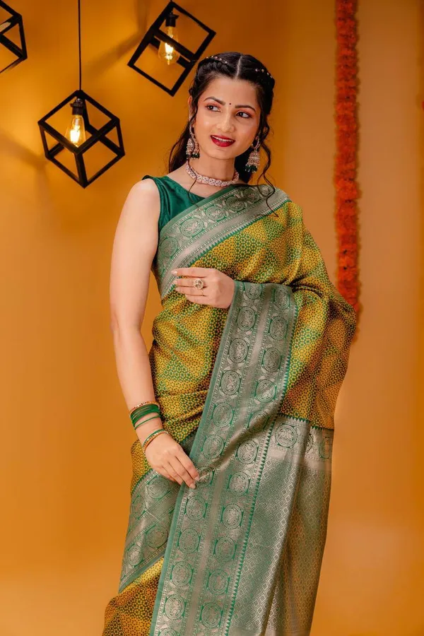 Woven_Kanjivaram_Jacquard_Banarasi_Silk_Saree