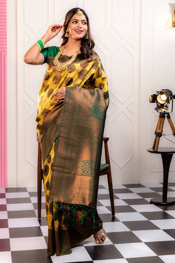 Woven_Kanjivaram_Jacquard_Banarasi_Silk_Saree
