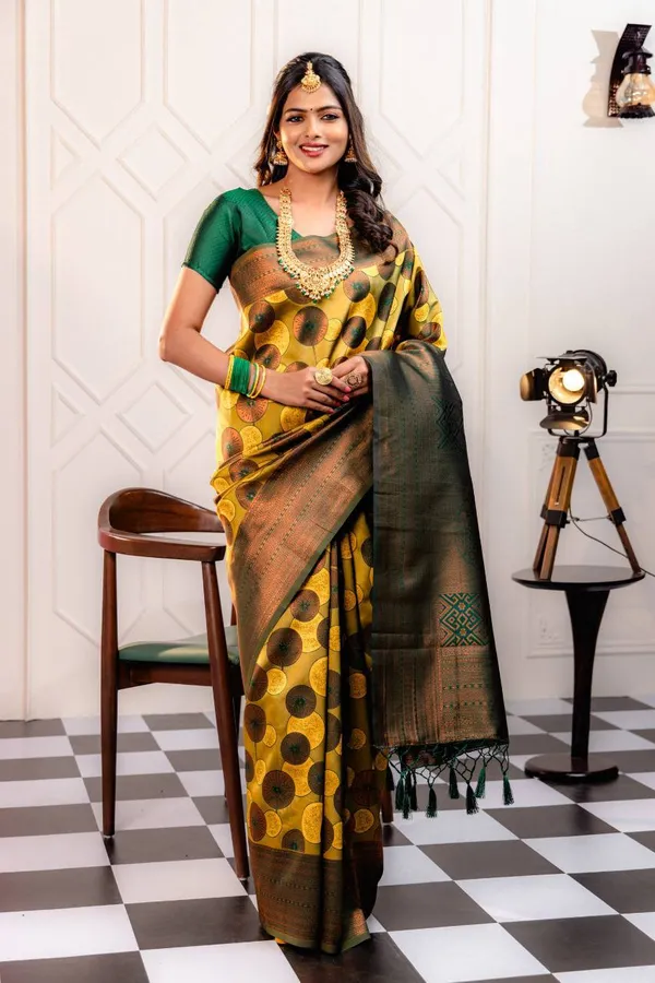 Woven_Kanjivaram_Jacquard_Banarasi_Silk_Saree