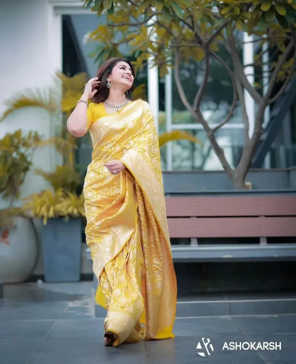 Woven_Kanjivaram_Jacquard_Banarasi_Silk_Saree