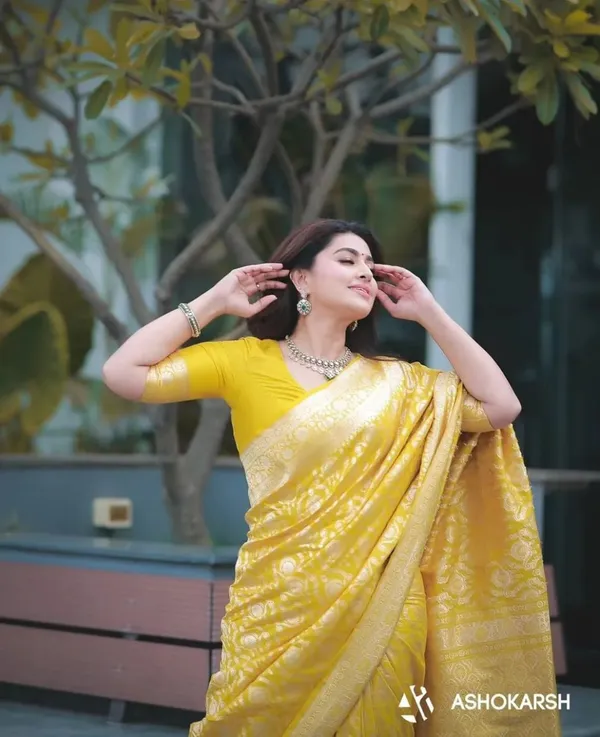 Woven_Kanjivaram_Jacquard_Banarasi_Silk_Saree