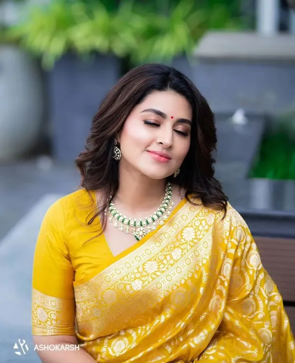 Woven_Kanjivaram_Jacquard_Banarasi_Silk_Saree