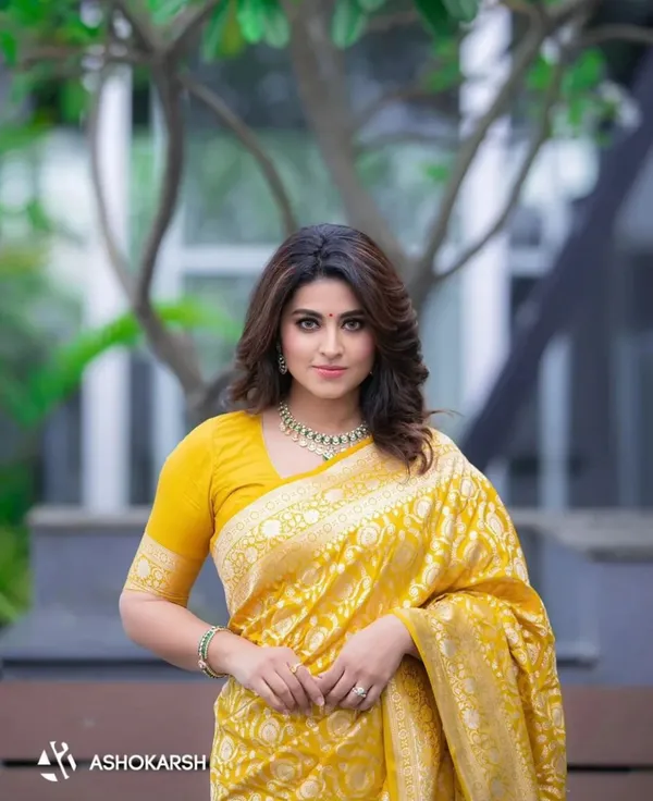 Woven_Kanjivaram_Jacquard_Banarasi_Silk_Saree