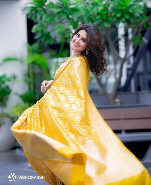 Woven_Kanjivaram_Jacquard_Banarasi_Silk_Saree