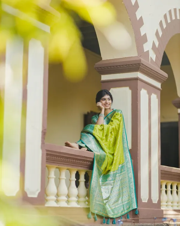 Woven_Kanjivaram_Jacquard_Banarasi_Silk_Saree