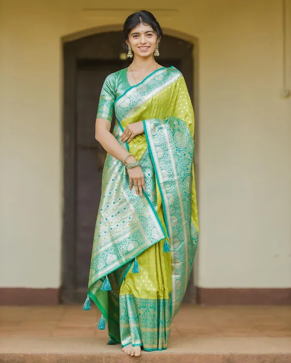 Woven_Kanjivaram_Jacquard_Banarasi_Silk_Saree