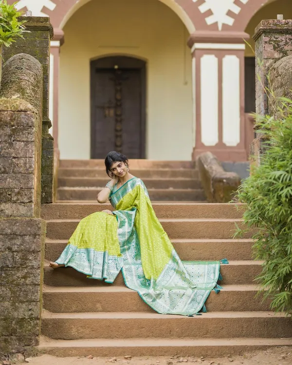 Woven_Kanjivaram_Jacquard_Banarasi_Silk_Saree