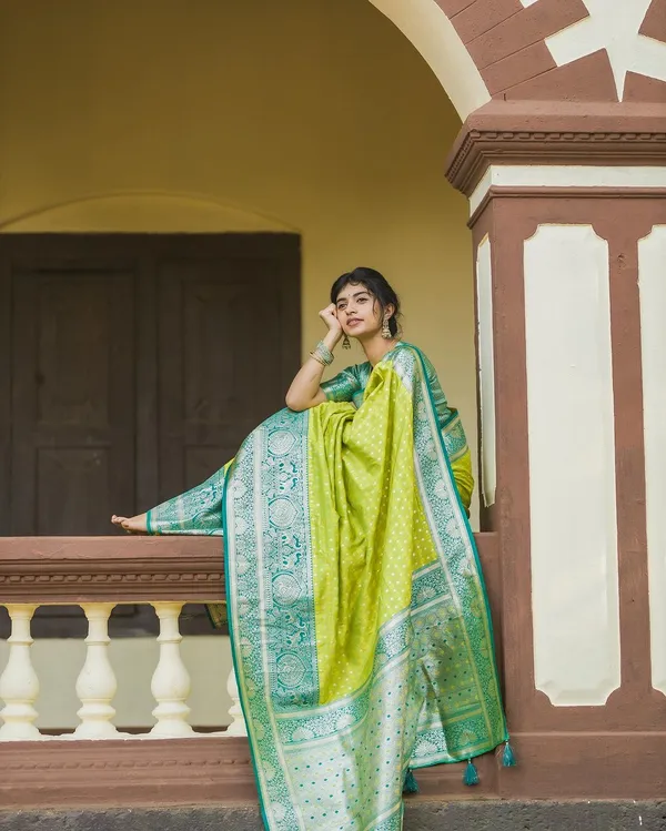 Woven_Kanjivaram_Jacquard_Banarasi_Silk_Saree