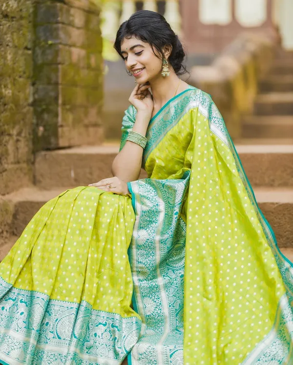Woven_Kanjivaram_Jacquard_Banarasi_Silk_Saree