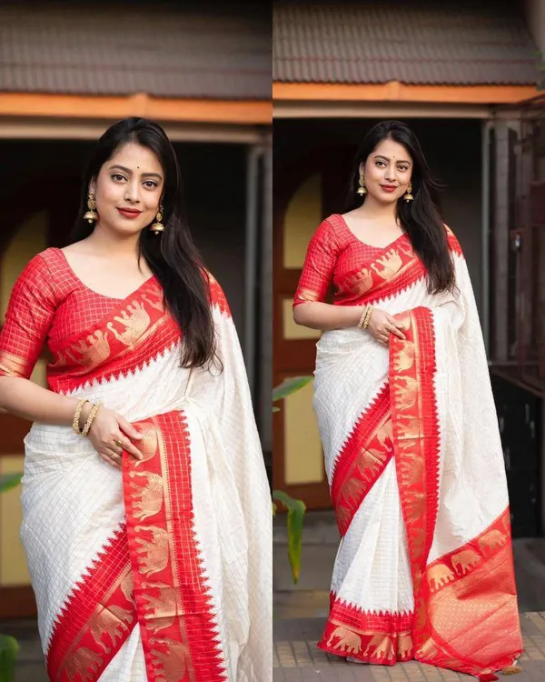 Woven_Kanjivaram_Jacquard_Banarasi_Silk_Saree