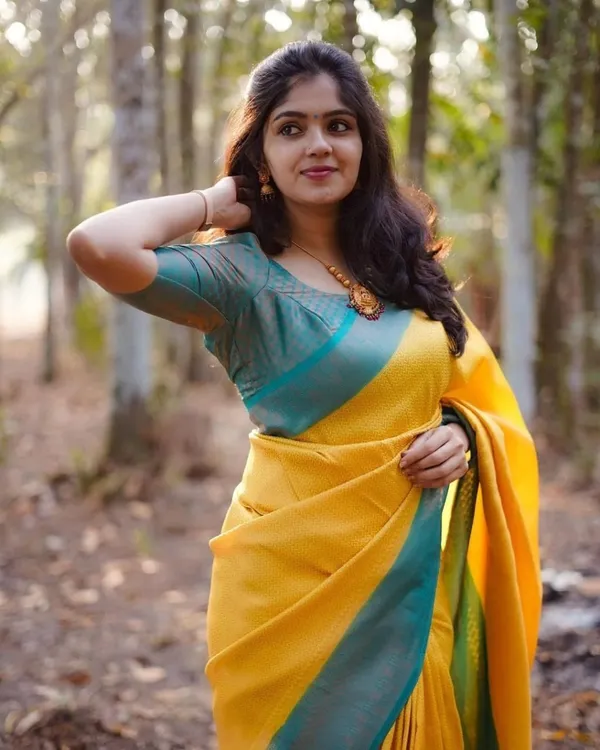 Woven_Kanjivaram_Jacquard_Banarasi_Silk_Saree