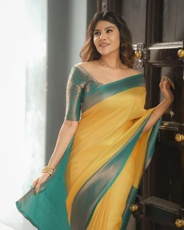 Woven_Kanjivaram_Jacquard_Banarasi_Silk_Saree