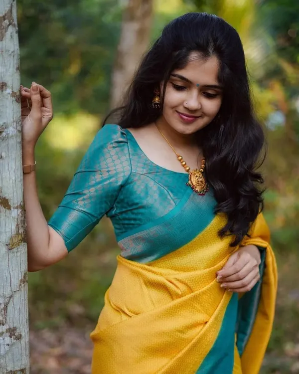 Woven_Kanjivaram_Jacquard_Banarasi_Silk_Saree