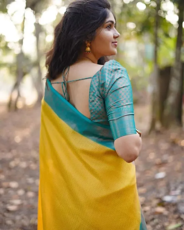 Woven_Kanjivaram_Jacquard_Banarasi_Silk_Saree