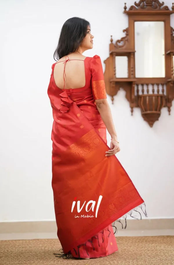 Woven_Kanjivaram_Jacquard_Banarasi_Silk_Saree