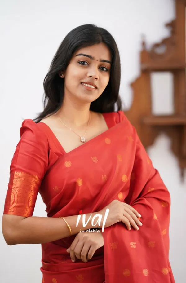 Woven_Kanjivaram_Jacquard_Banarasi_Silk_Saree